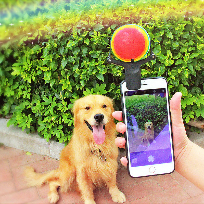 Accessoire photo animaux - Clip téléphone selfie