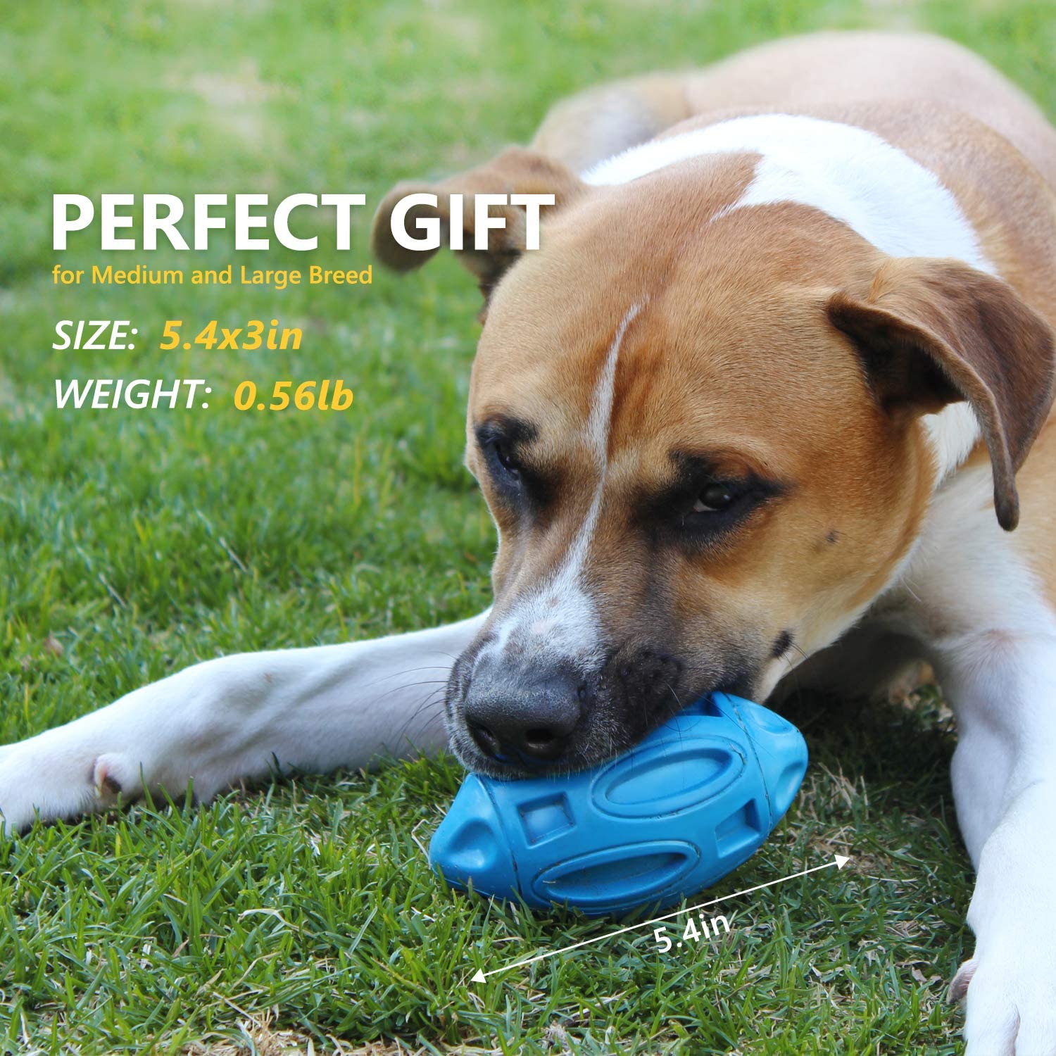 Ballon chien caoutchouc sonore anti-usure mordant