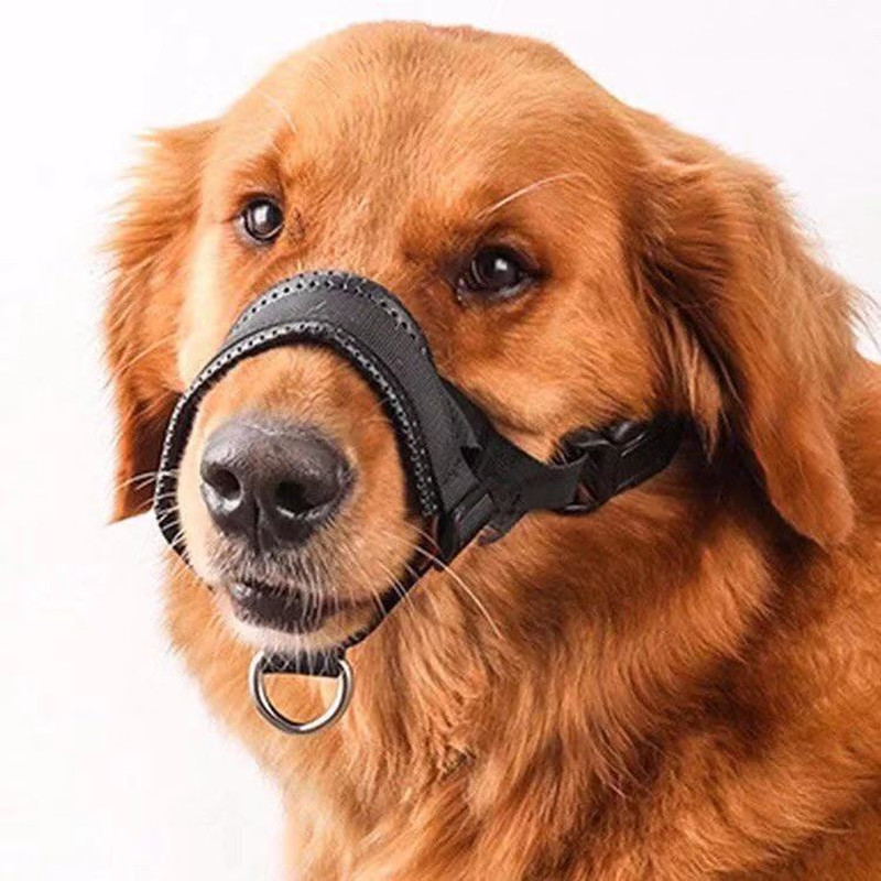 Muselière nylon chien - Anti-morsure/aboiement