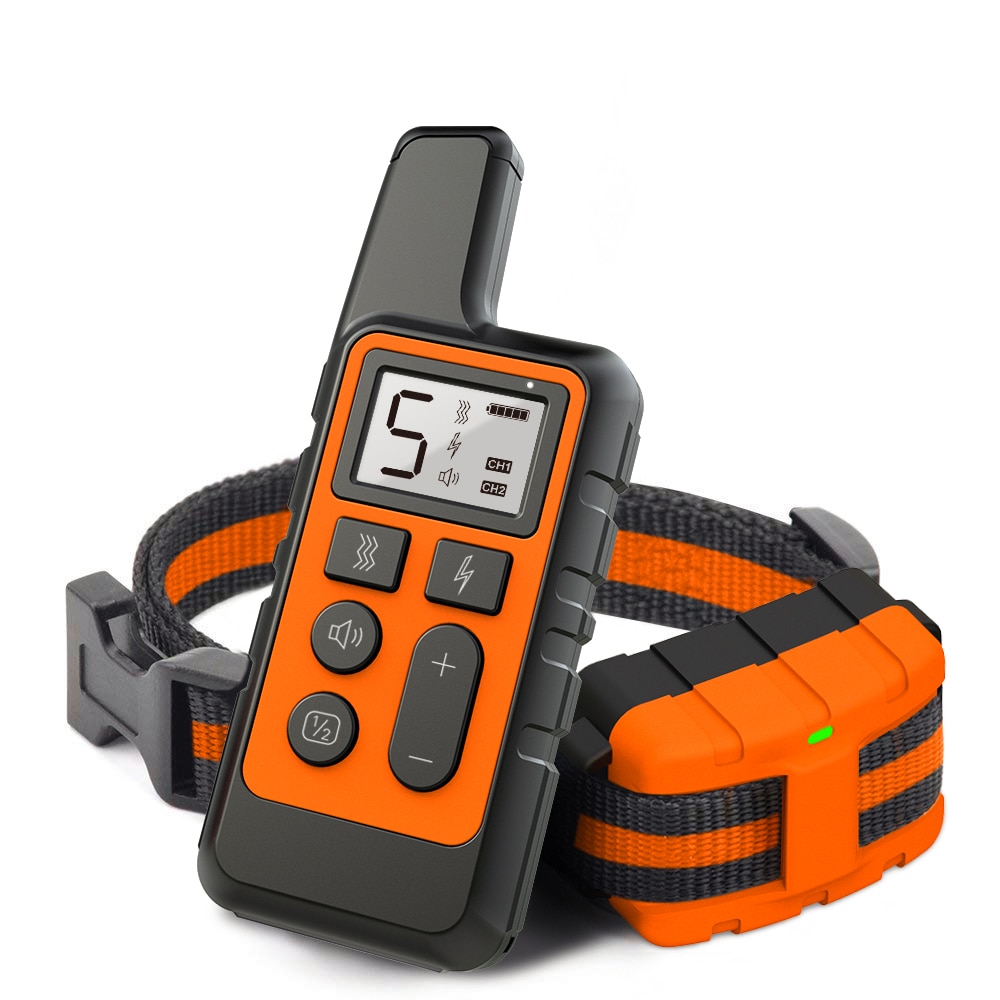 Collier dressage chien