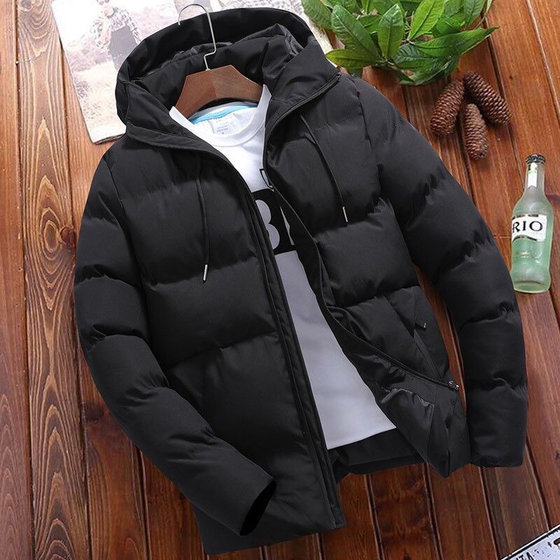 Veste matelassée coton pur capuche homme