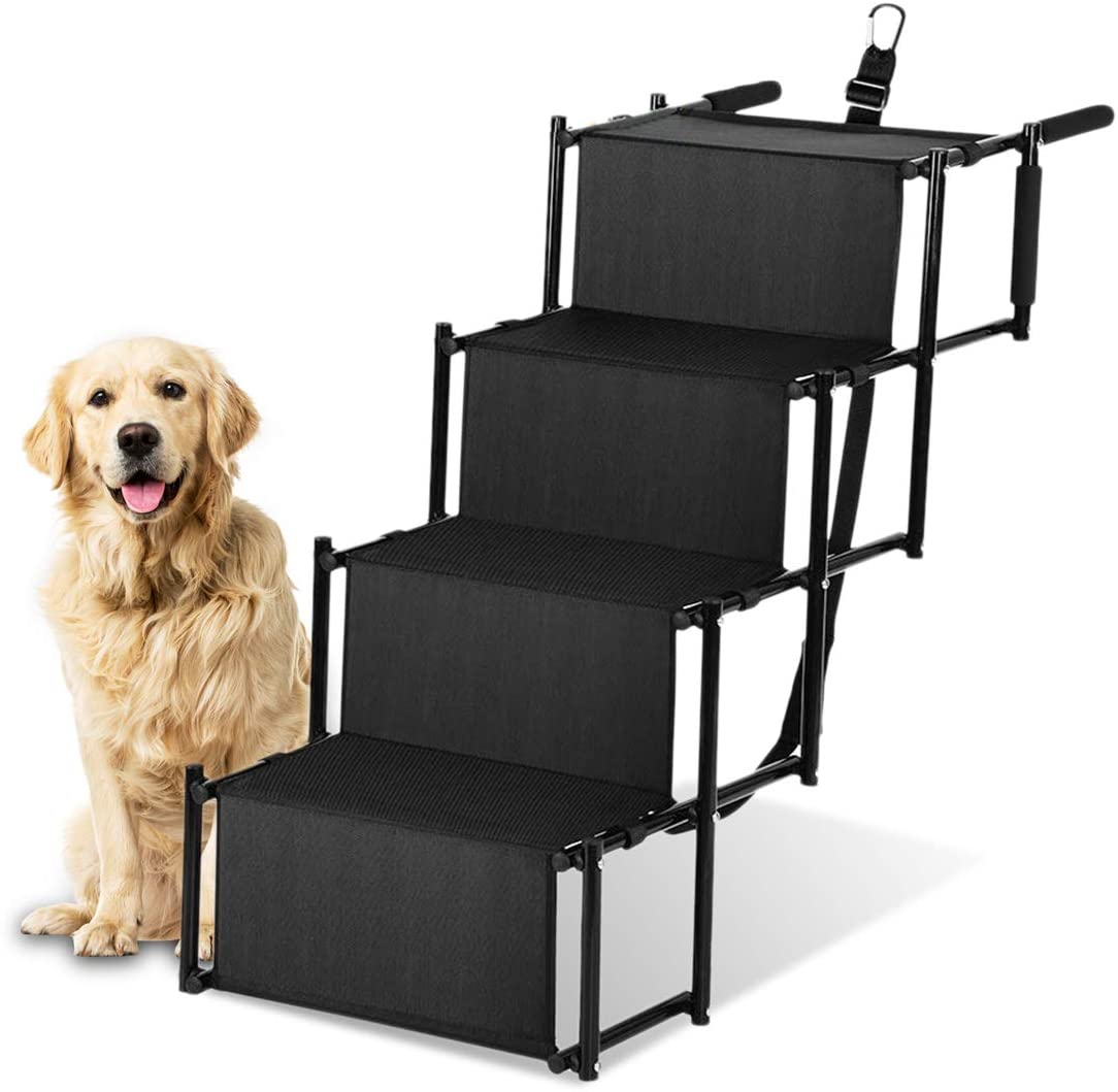 Rampe chien