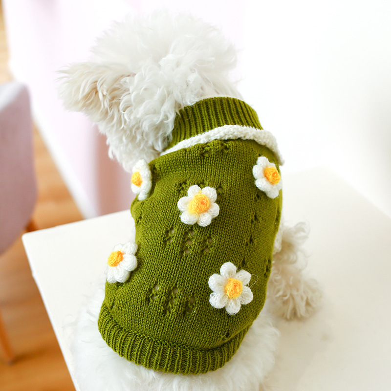 Chandail chien chat, chaud confortable, petit animal