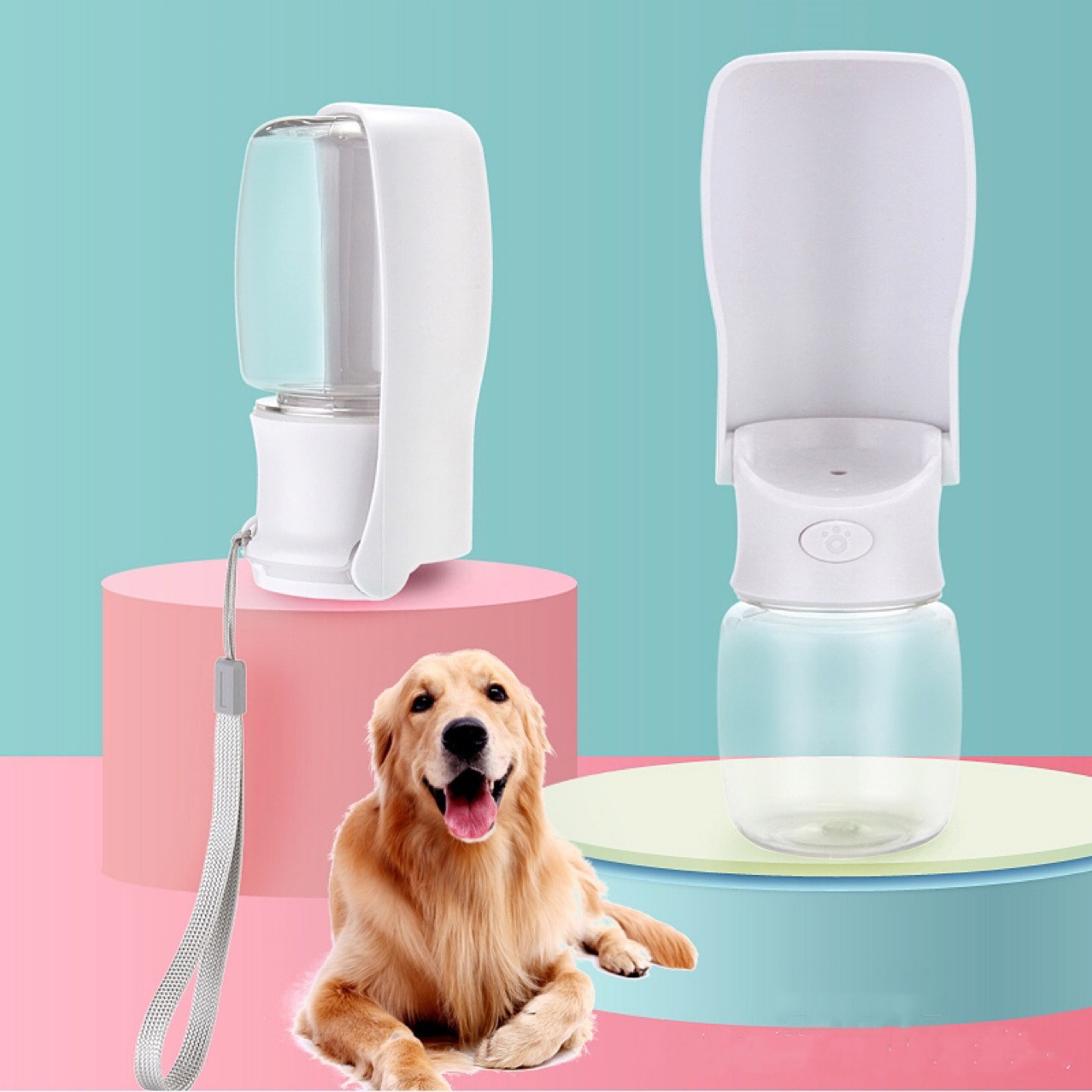 Bouteille eau chien pliable distributeur portable animaux