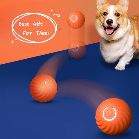Balles caoutchouc robustes pour chiens