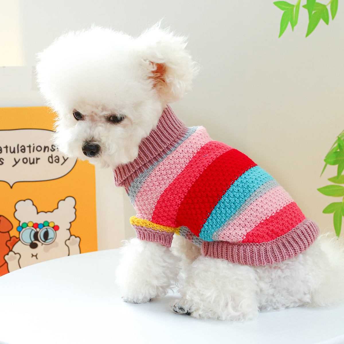 Chandail rayé coloré confortable pour animaux