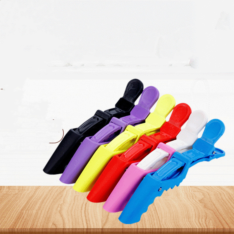 Barrettes positionnement cheveux plastique