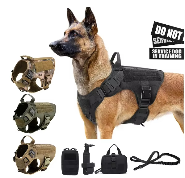 Ensemble harnais chien camouflage nylon luxe