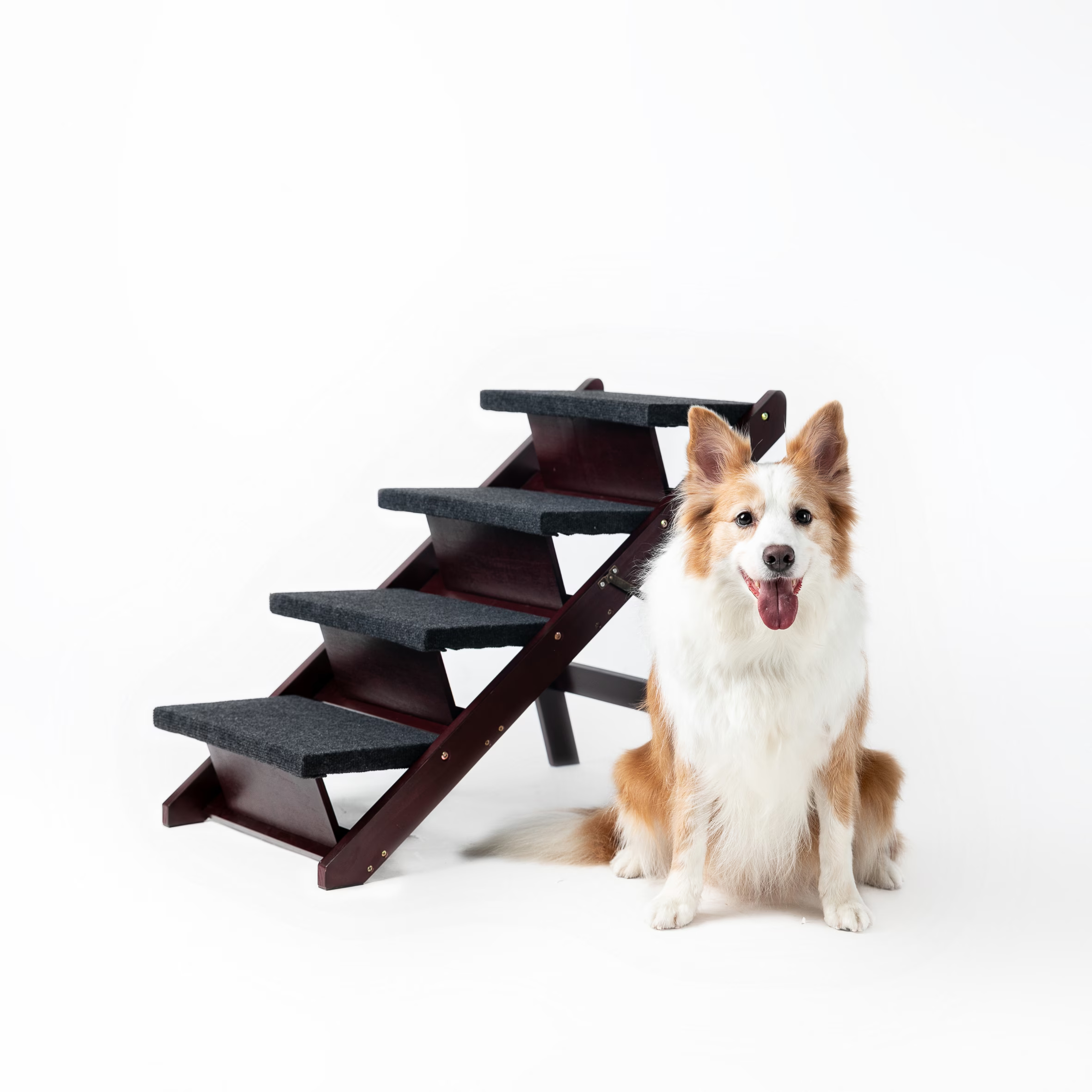 Escalier pliable 4 niveaux pour chiens et chats