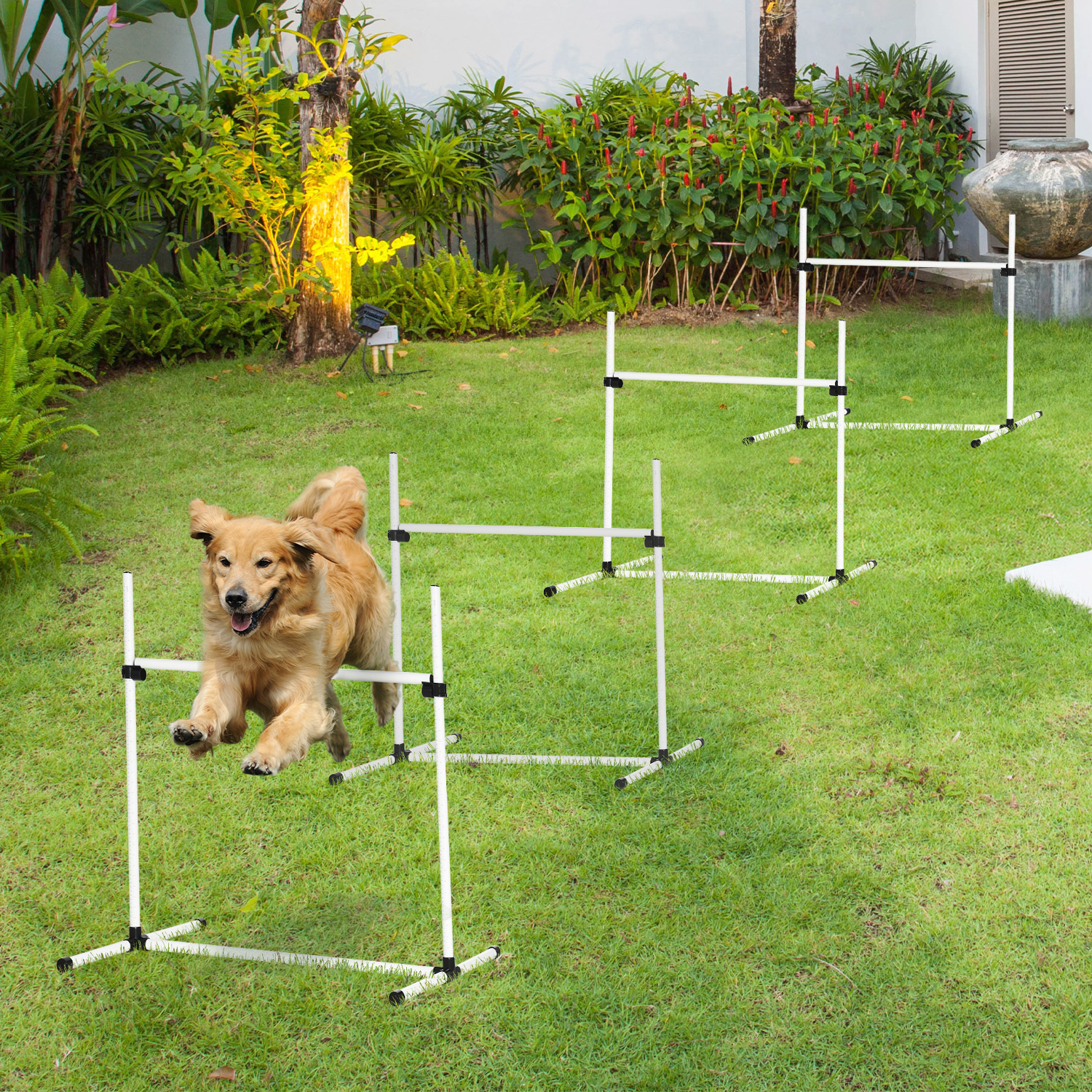 Équipement agility chien 4 pièces, barres saut ajustables