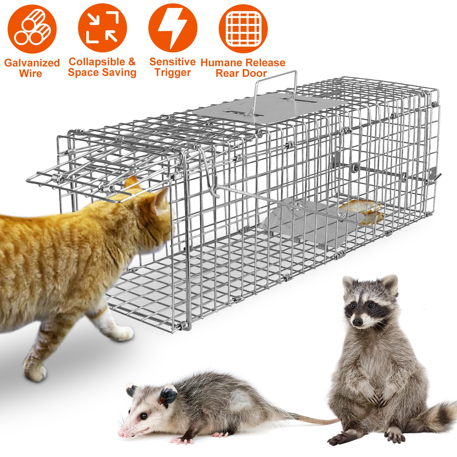Piège cage souris fil galvanisé pliable