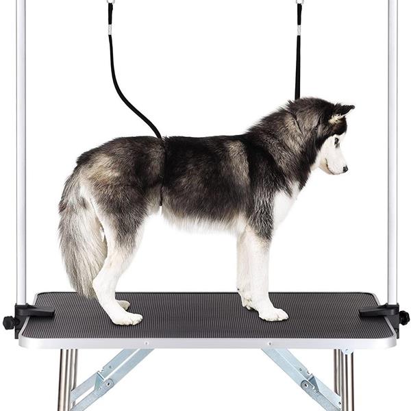Table toilettage chien