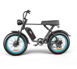 C91 Vélo électrique 20 po double entraînement haute vitesse