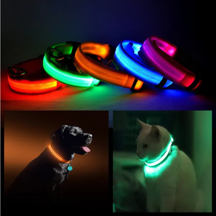 Collier sécurité LED style halo
