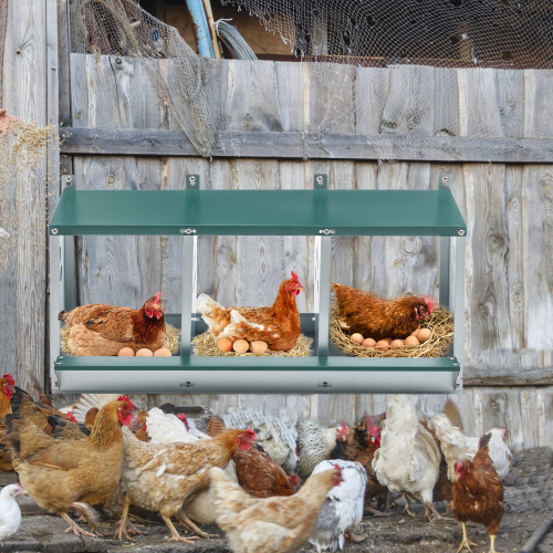 Nichoirs poulets acier galvanisé 3 compartiments, facile montage