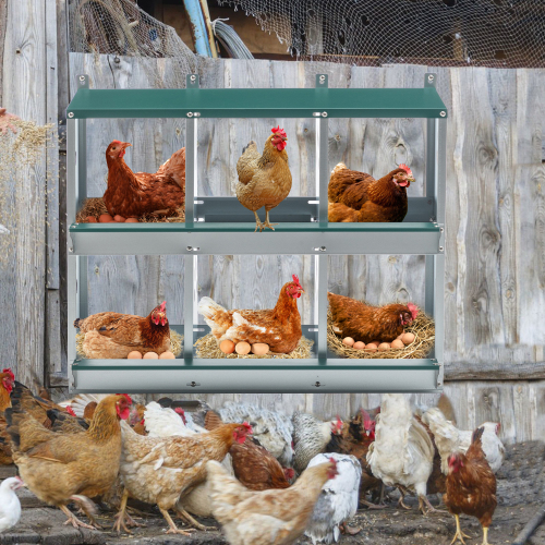 Pondoir poules 6 compartiments acier galvanisé
