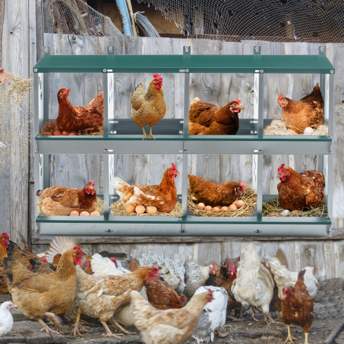Pondoir poule 8 compartiments mur ventilé