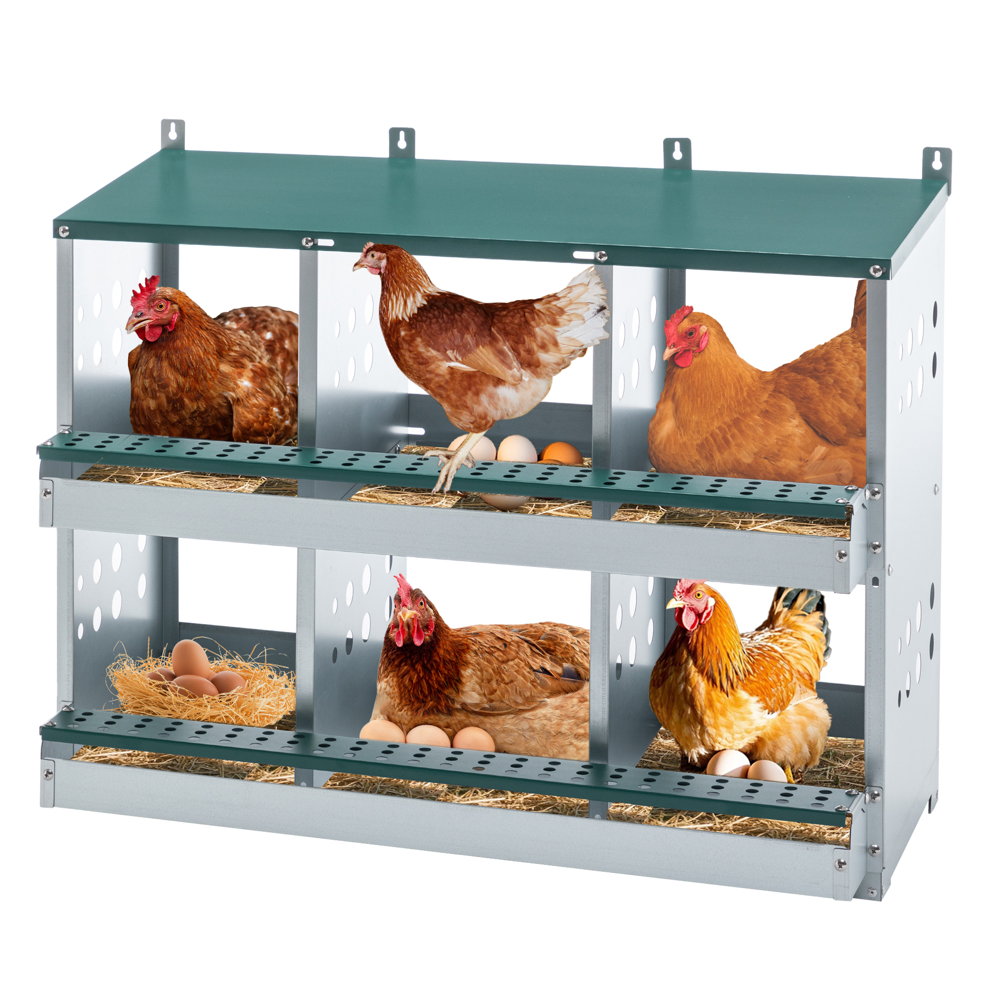Nichoir poule 6 compartiments oeufs pondoir rouleaux vert