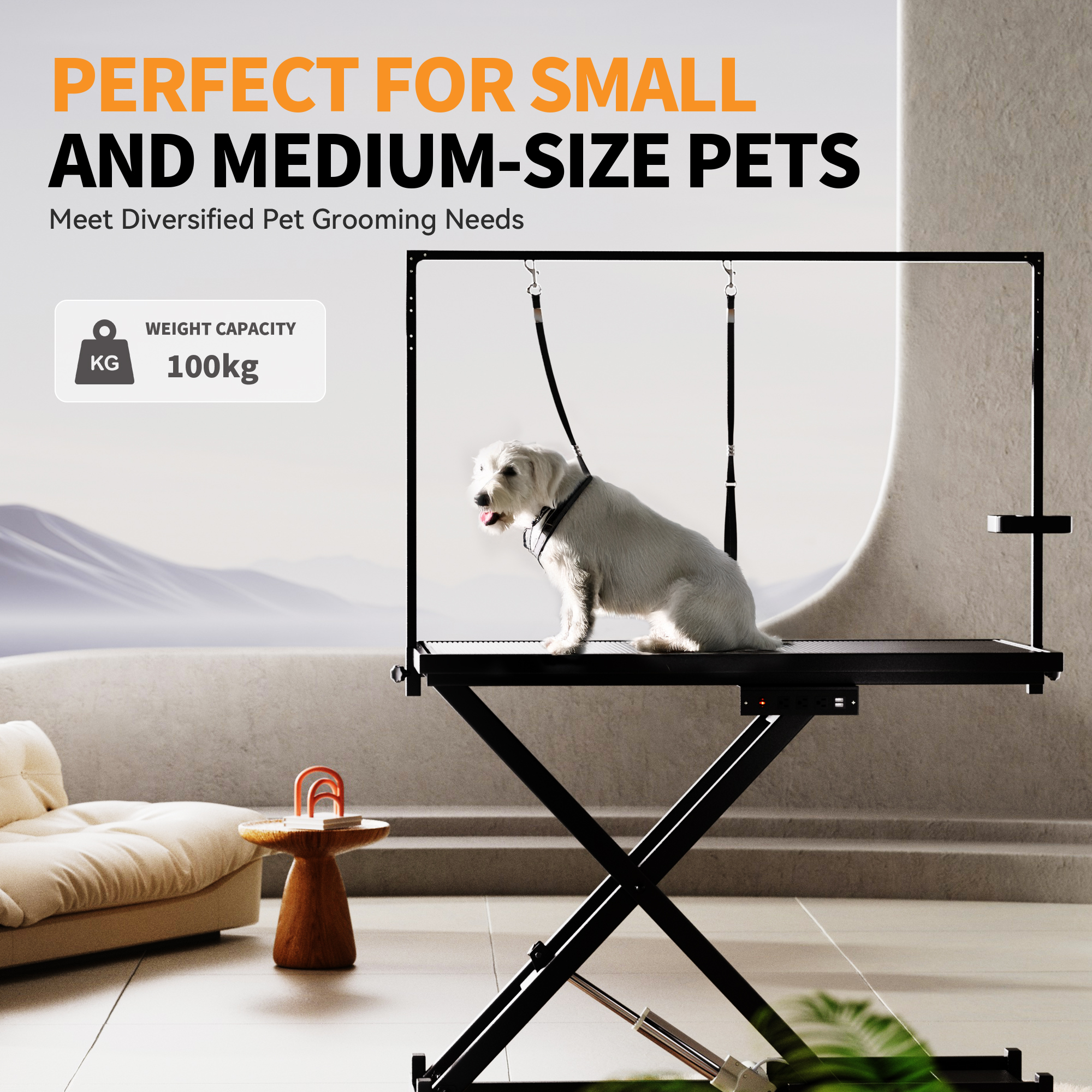 Table toilettage chien ajustable 50 po