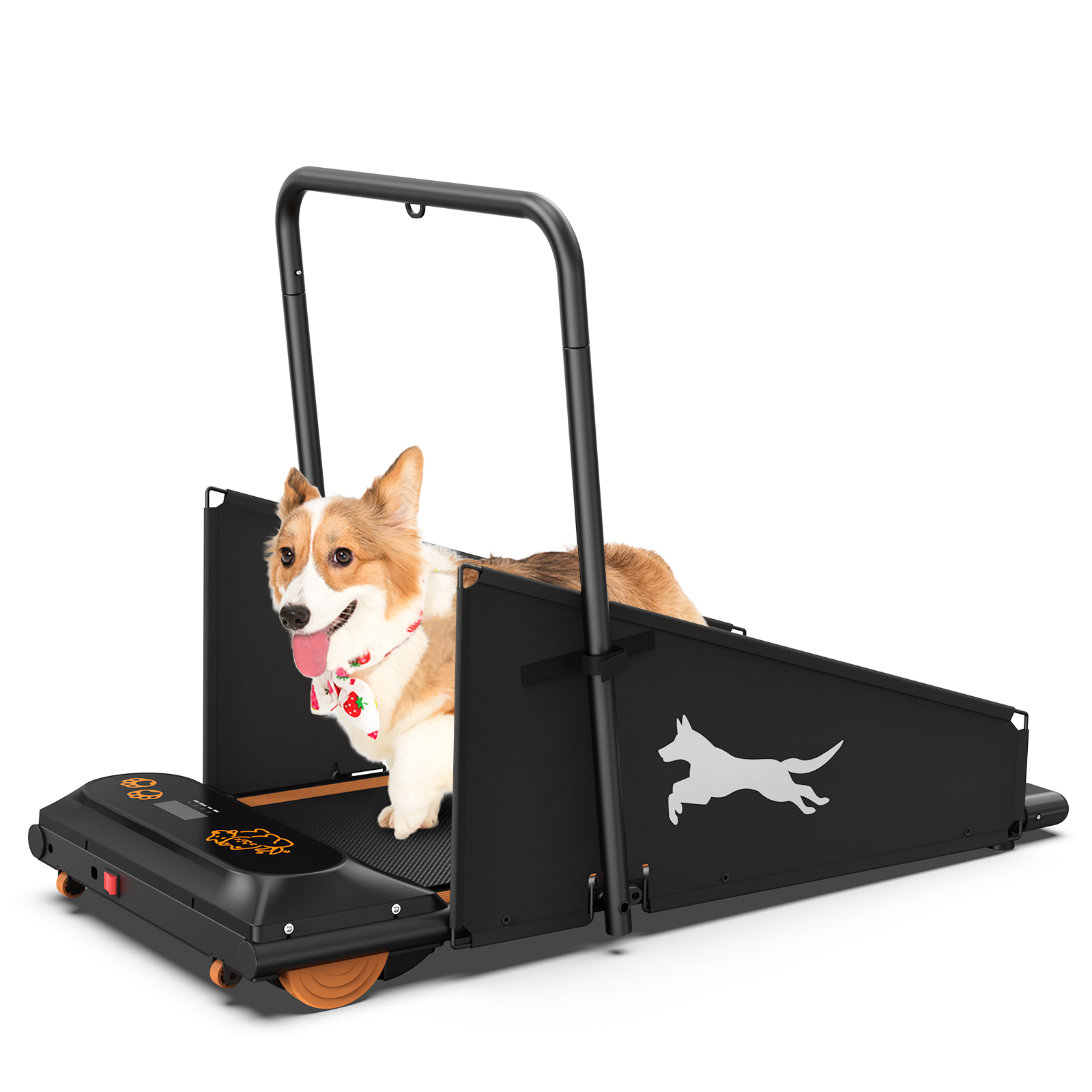 Tapis roulant chien petits/moyens exercice santé