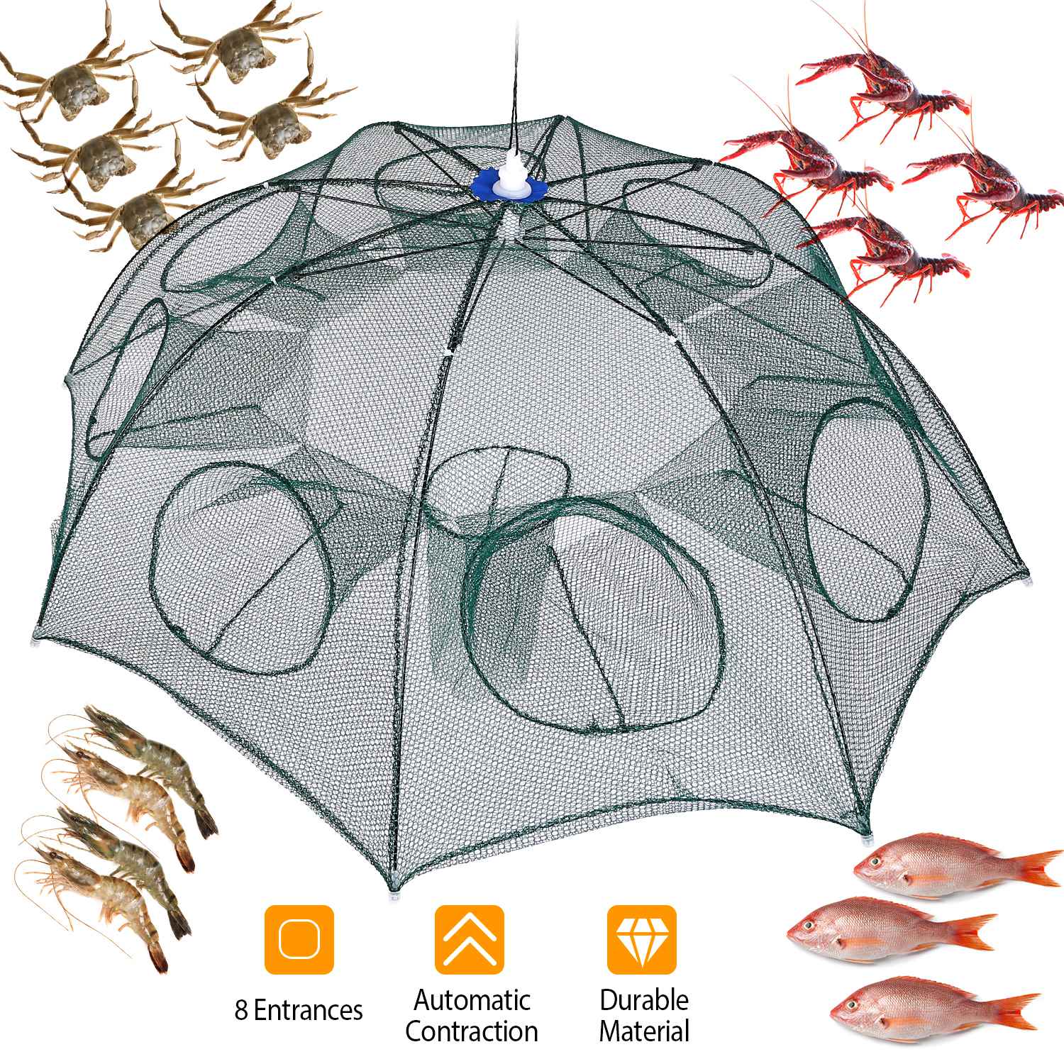Filet pêche pliable piège, nasse écrevisse, minnow, contraction auto
