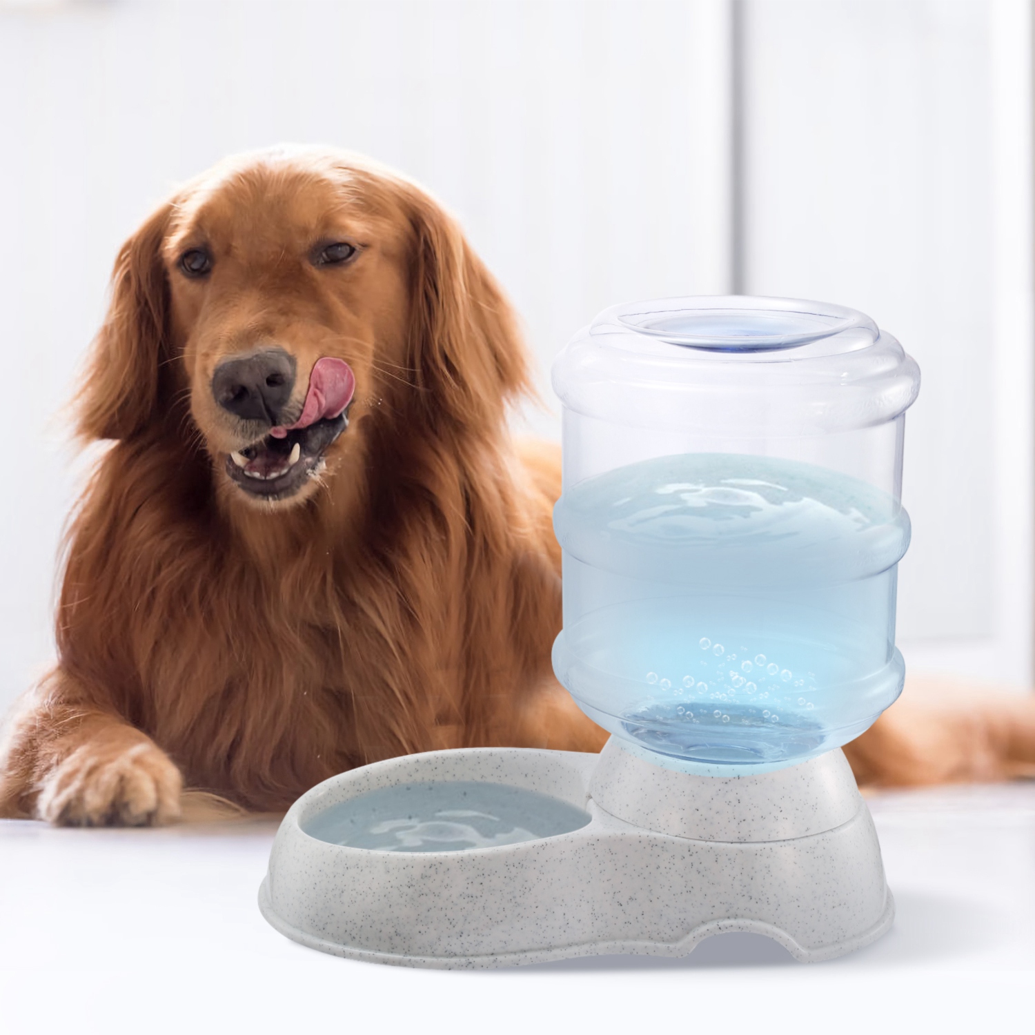 Distributeur eau animal 3,5L gravité auto-remplissage