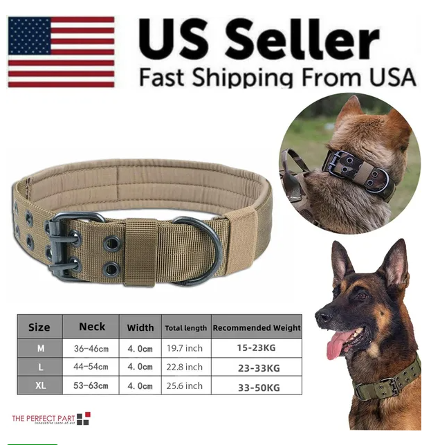 Collier chien tactique nylon boucle métal K9