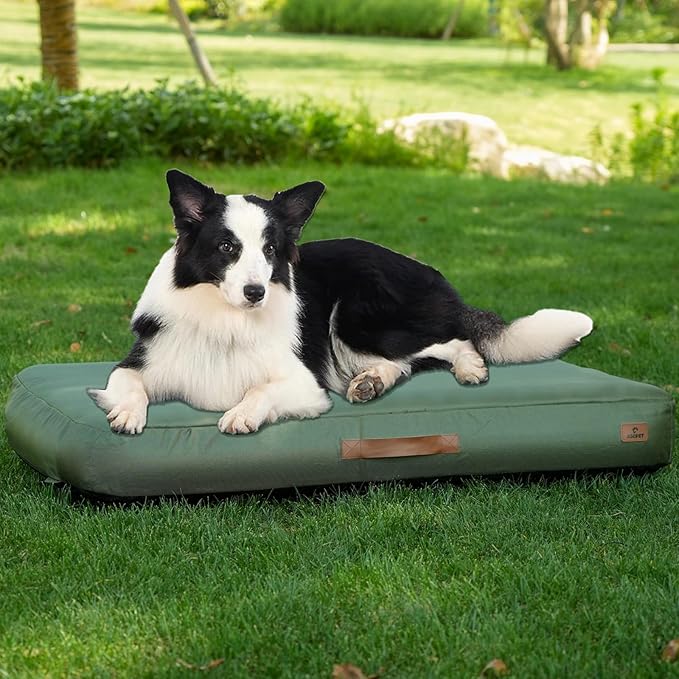 Lit Chien Gonflable Imperméable Moyen Format Voyage Été