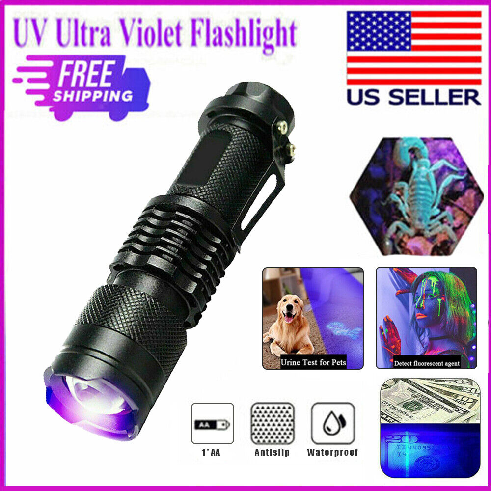 Lampe UV ultraviolette poche 395nm détection urine animaux