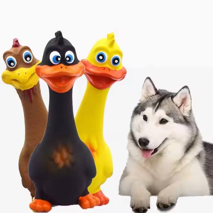 3 jouets poulet latex, chien interactif