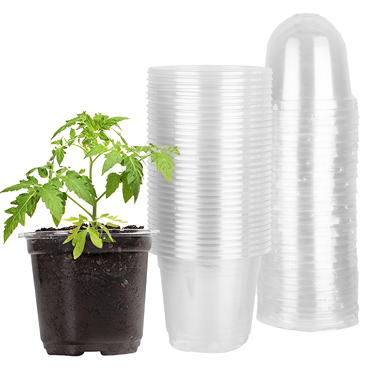 Pots pépinière 30 pcs printemps conteneurs PET graines drain