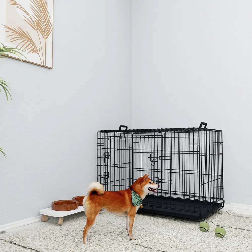 Cage chien fil noir 36po, double verrou, 2 portes, 2 poignées