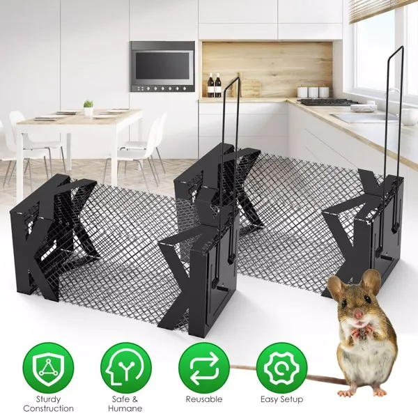 Piège souris humain Cage Sans électricité Métal robuste
