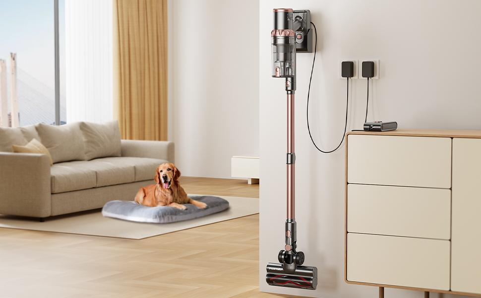 Aspirateur sans fil LED 45kPa, 60 min batterie, poils animaux
