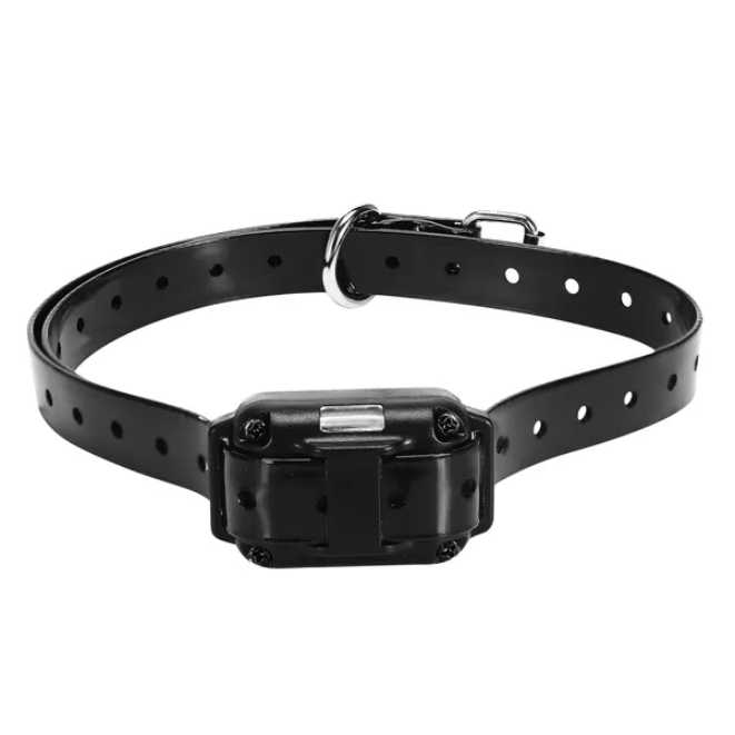 Collier dressage chien récepteur IP67 - Étanche