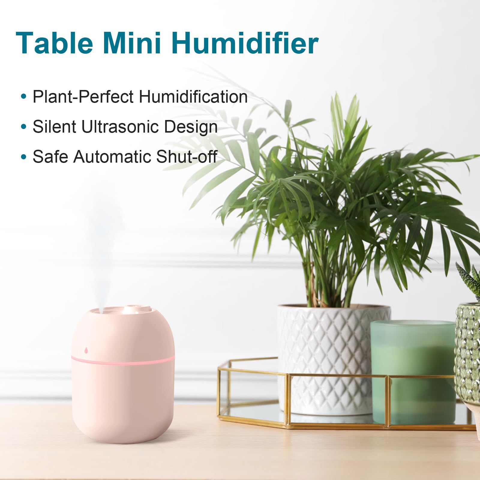 Humidificateur portable mini 220ml USB - Chambre