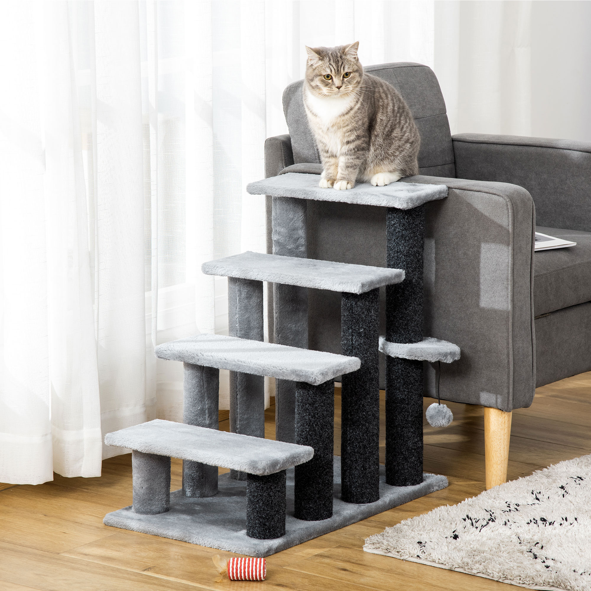 Arbre chat escaliers grattoir balle suspendue intérieur