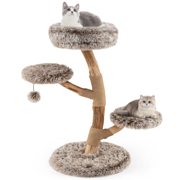 Arbre chat bois poirier naturel