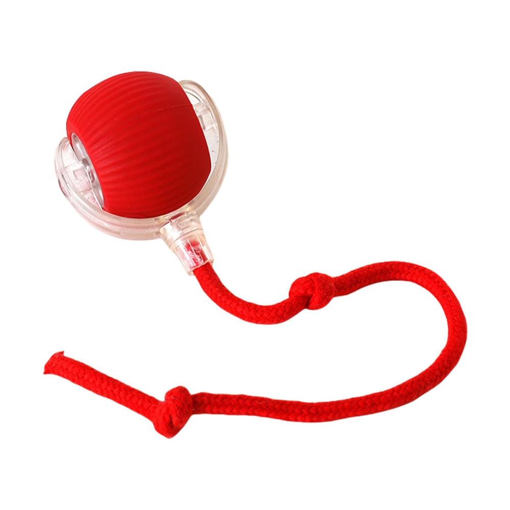 Balle chat interactive roulante