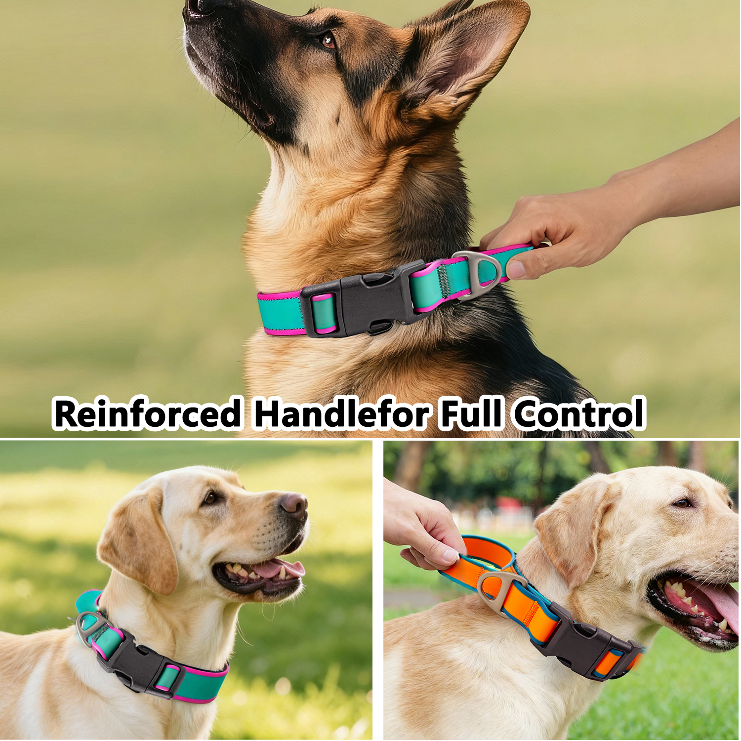 Collier tactique contrôle chien amélioré