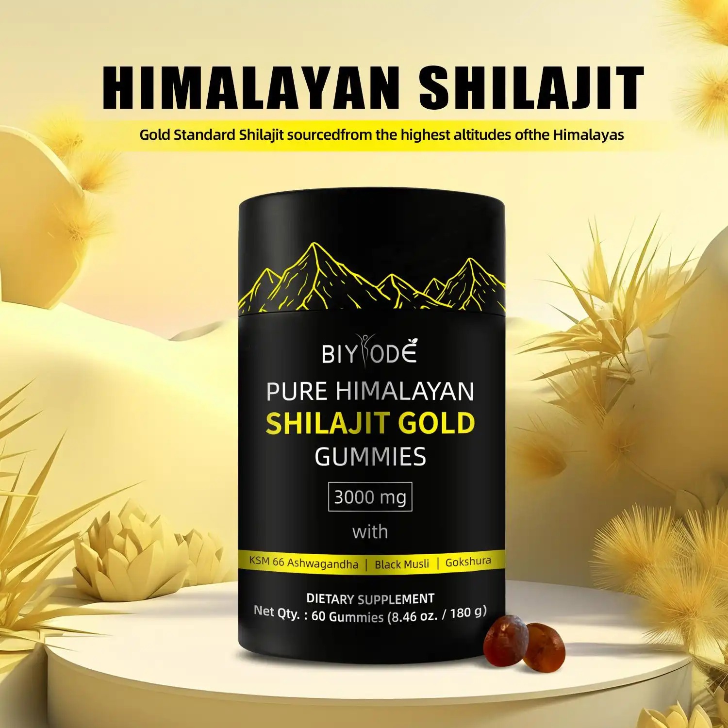Gommes Shilajit Himalaya pur 60 units