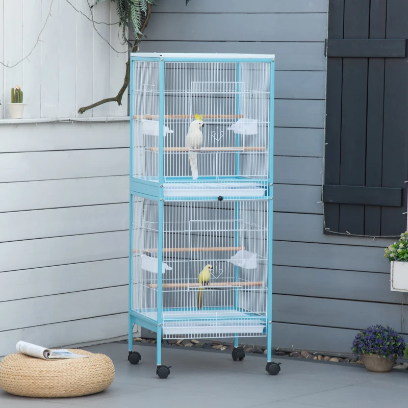 Cage Oiseau Grand Envergure