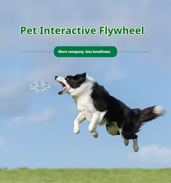 Jouet volant interactif pour chien