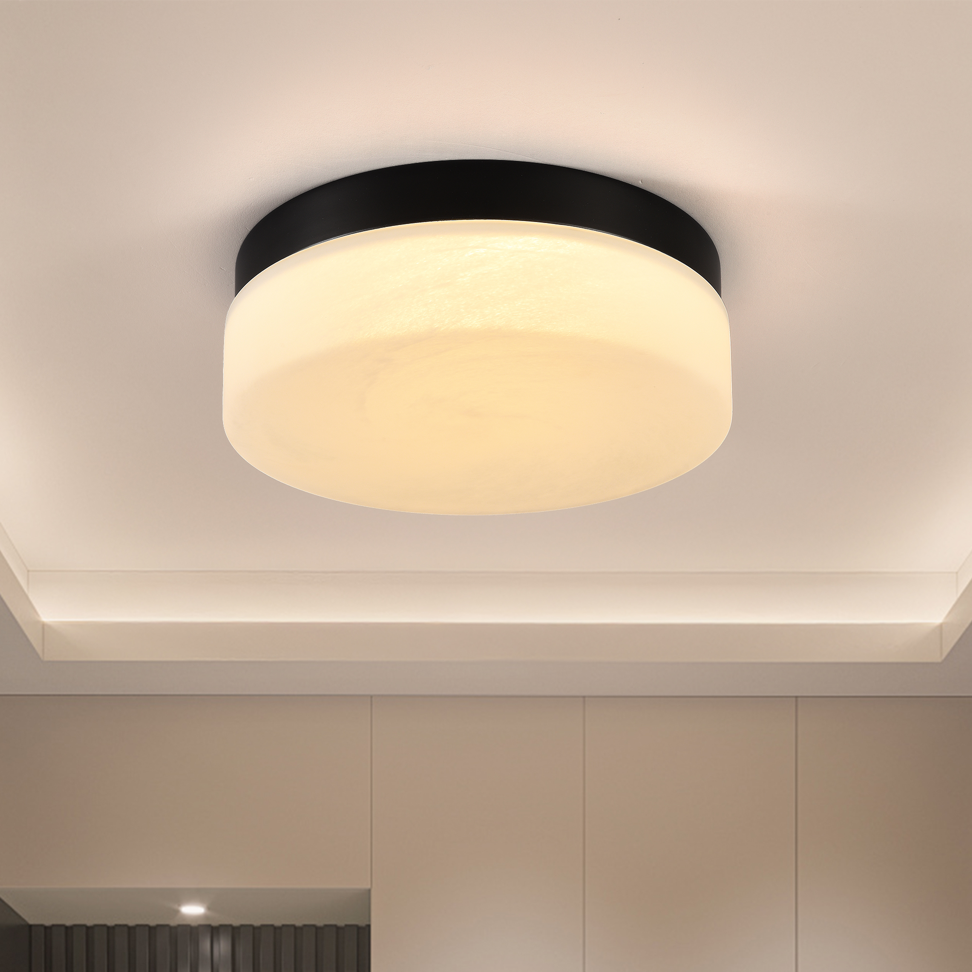 Plafonnier LED 24W 12 po chambre salon salle à manger noir