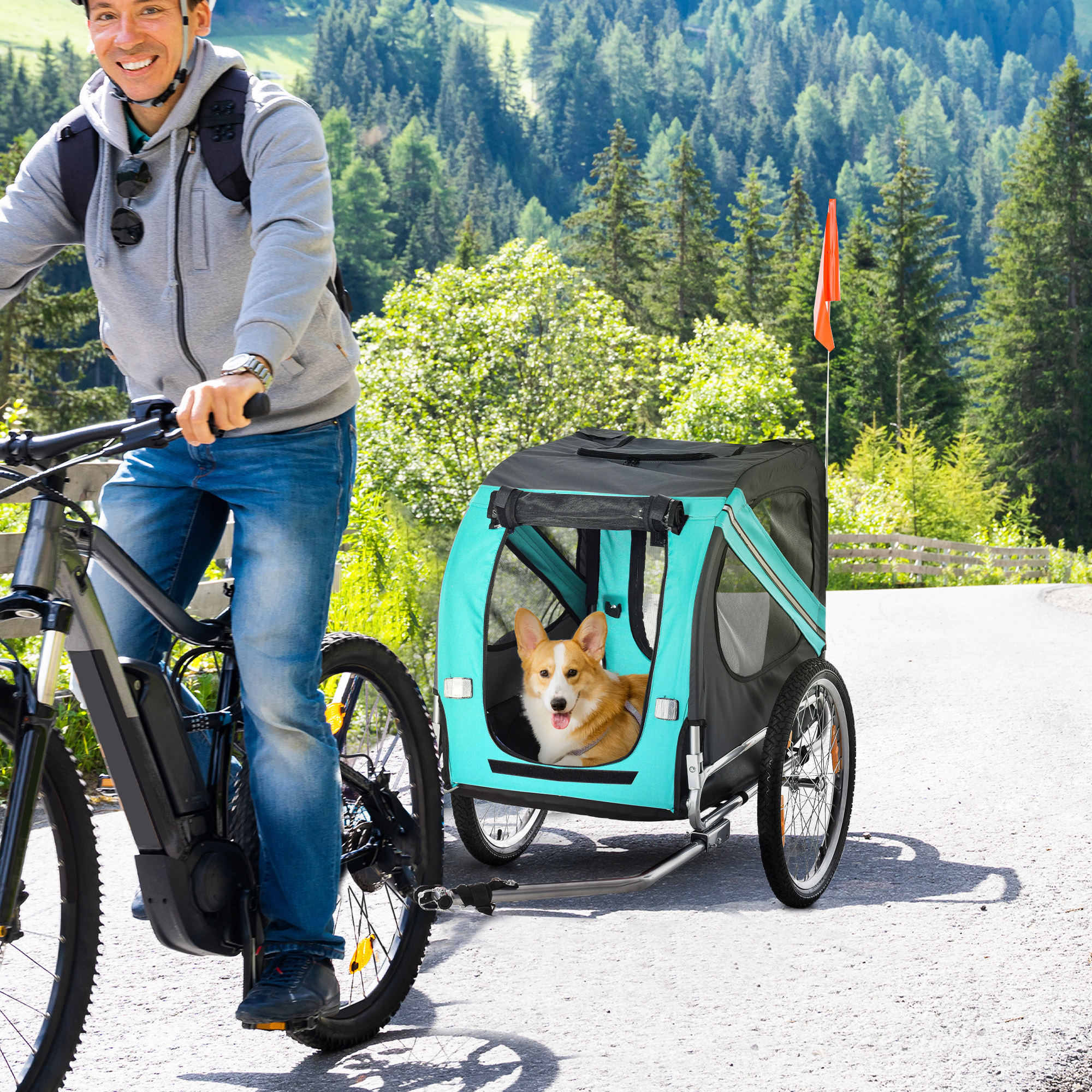 Remorque vélo chien 3 entrées, grandes roues, vert
