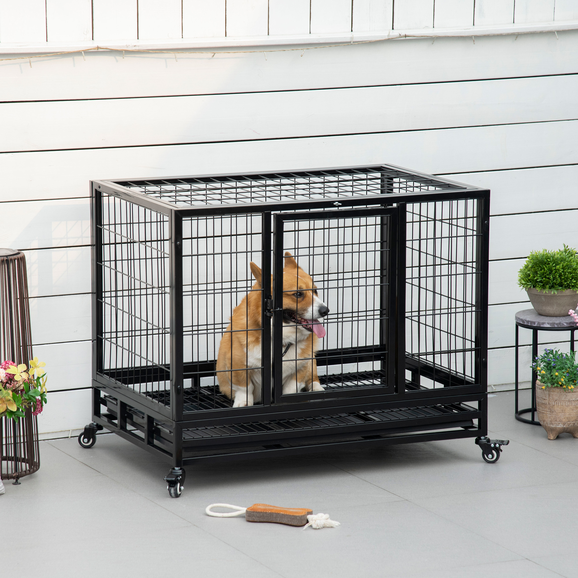 Cage chien robuste 36po plateau amovible portes roulettes