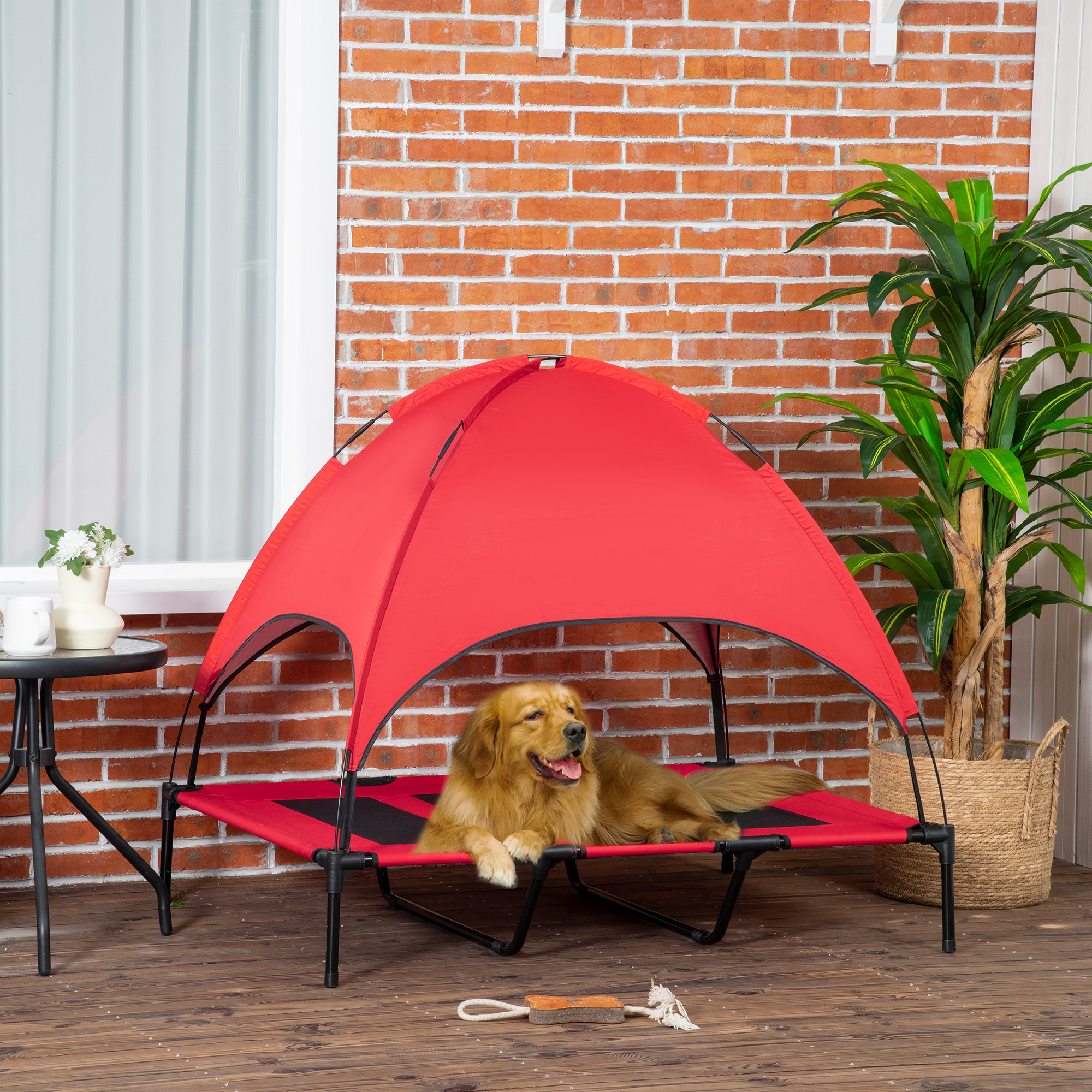 Lit surélevé chien 48" x 36" refroidissant, auvent UV