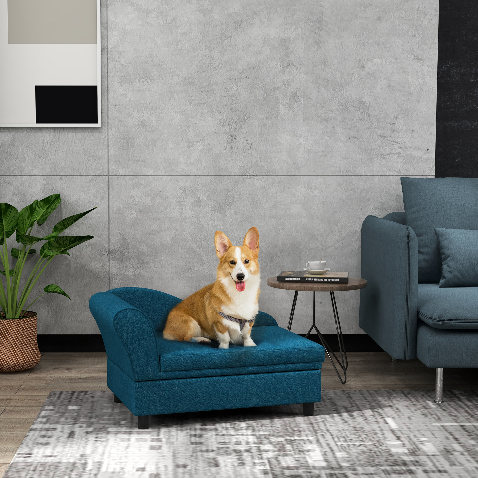 Sofa chien petits chiens bleu foncé rangement