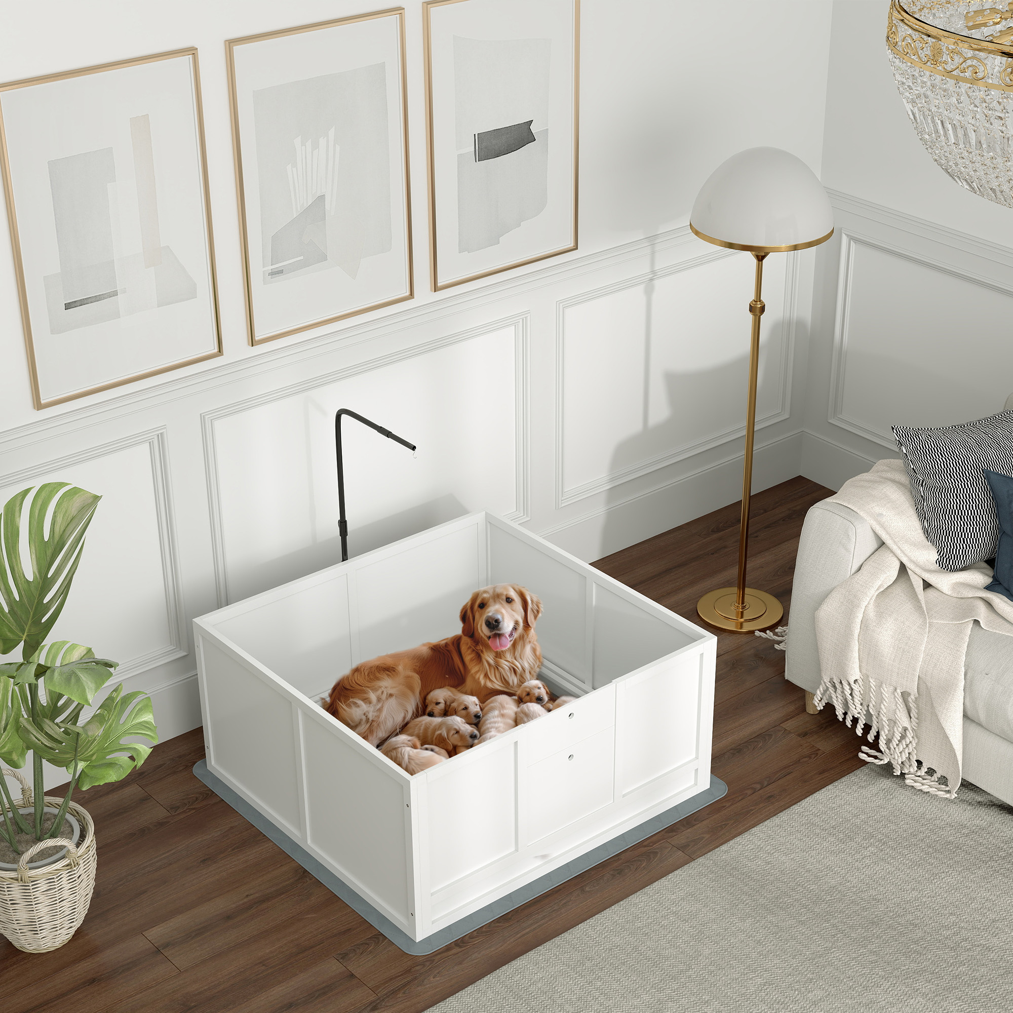 Box maternité chiots 41"x39" porte réglable
