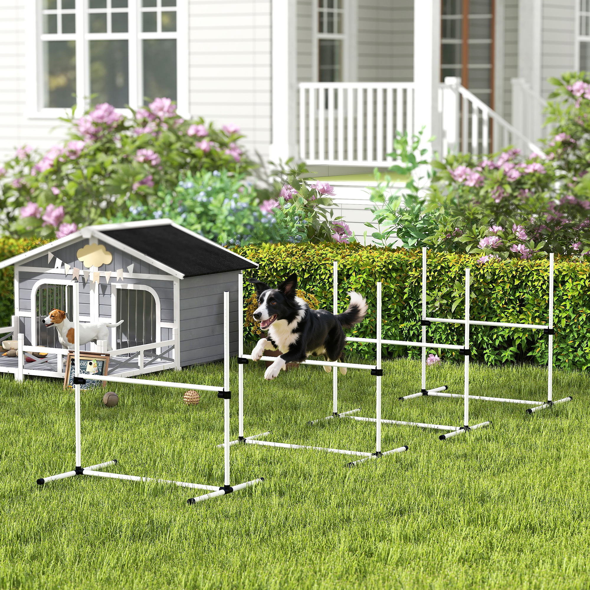 Kit agilité chien 4 pièces barres ajustables blanc